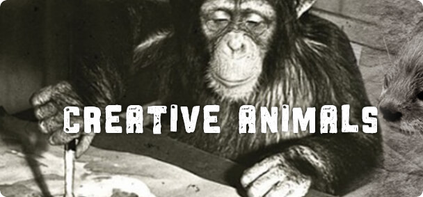 Creative Animals